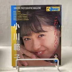 小川範子こわしたくない 折込ピンナップ昭和63年写真集DELUXEマガジンORE Yahoo!オークション -「小川範子 こわしたくない」の落札相場