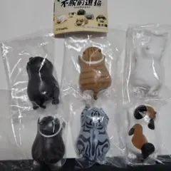 不服前進猫　コンプリートセット