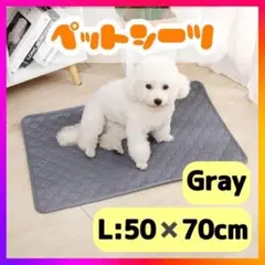 Item thumbnail for item 9a7dd440-42c7-482b-bfc4-bc4ff0422b5d