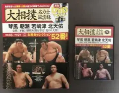 大相撲名力士風雲録 4大関DVD&冊子セット