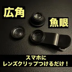 Item thumbnail for item bc61f7ea-cc02-421e-ab9e-54b5e76e74a4