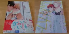 BLコミック　2冊セット　BL