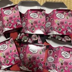 ドラゴン娘デッキケース　6個