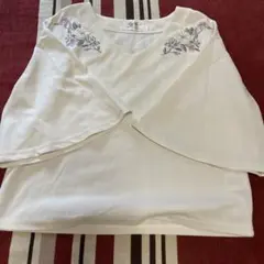 Item thumbnail for item 6bcd9df3-8174-4811-85fa-c3d556ce453b