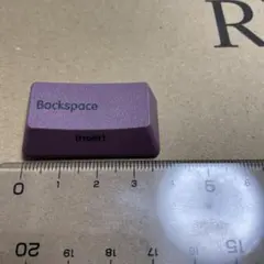Realforce RC1 英語配列　ダークモーブ　 バックスペース