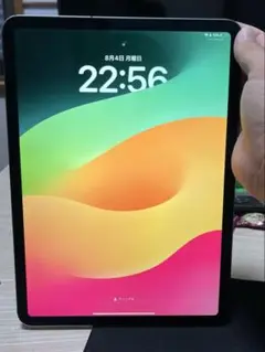 iPad Pro 11インチ第1世代Wi-Fi + Cellular 512GB