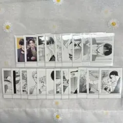 踏んだり蹴ったり愛したり ぱしゃこれ 21枚セット