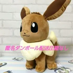 ポケットモンスター めちゃもふぐっとぬいぐるみ イーブイフレンズ～イーブイ～ ①