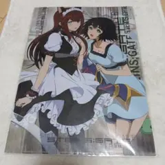 シュタインズゲート　クリアファイル