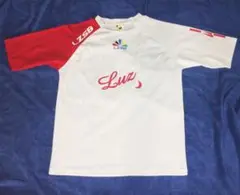 Item thumbnail for item 49980532-ca21-4876-9e76-29811f1ae614