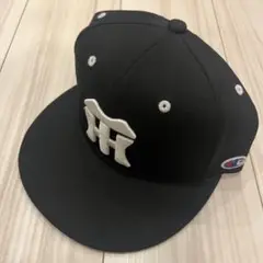 Item thumbnail for item 7fc6353d-0449-441c-881d-ed5ff5ad052a