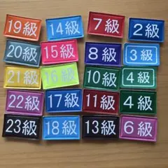 セイカスポーツ　A1 ジュニアスクール　水泳　スイミング　教室　級　ワッペン