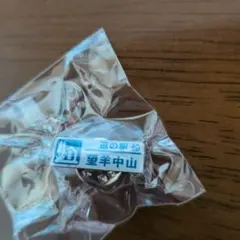 北海道道の駅 望羊中山スナップボタン