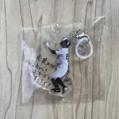 ヤクルトスワローズ 青木宣親 引退記念 アクリルチャーム キーホルダー