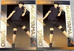 ハイキュー アニメイト 擬似ユース 特典 ポストカード　影山　2点