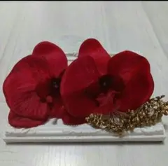 Item thumbnail for item 945486cb-8d5b-40df-a25a-1595c6ad40b5