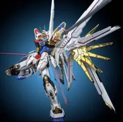 MGEXストライクフリーダムガンダム＋プラウドディフェンダー 61+RsyqZ2ML._UF894,1000_QL80_.jpg