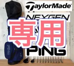 ゴルフクラブセット メンズセット 合計12本セット キャディバッグ付き