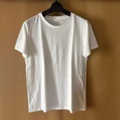 【新品】マックハウス Tシャツ ホワイト Mサイズ
