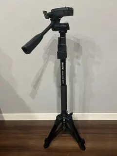 Item thumbnail for item 1e4f0820-5ebe-4db4-903e-5439ad224655