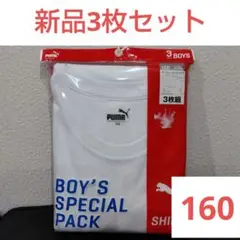 Item thumbnail for item 63d268e0-6885-438e-afd8-025cb4ea50b1