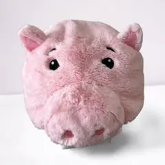 ディズニー　ハム　ファンキャップ