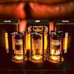 Item thumbnail for item bcb606fb-8e06-445c-974c-29b643b38931