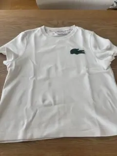 LACOSTE ホワイト Tシャツ サイズ38