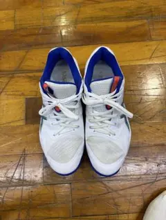 Item thumbnail for item 324a39eb-d78e-4c1e-83cb-8e63d6141db0