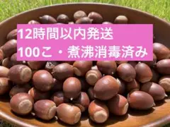 Item thumbnail for item 091ae4ef-a97e-436d-a001-9206bcff83f0