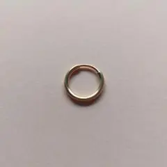 Item thumbnail for item bc44040a-5289-46d3-b5fa-ba3ac7b6465f