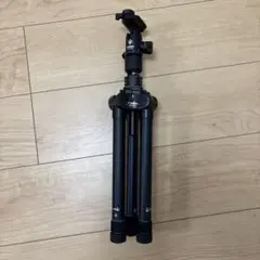 Item thumbnail for item c0365b7b-856e-42d7-bae4-89db2dfc1656