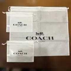 Item thumbnail for item 390059ce-e2ed-469b-9118-1ee73787cf9d