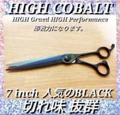 Item thumbnail for item 6bd1951b-15e3-4869-a845-a0c5205065a4