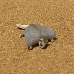 アニア　モモンガ　カプセルアニア　動物　フィギュア　匿名配送