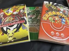 ポケットモンスター　DSゲーム本