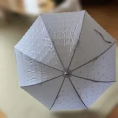 刺繍付きブルー雨晴兼用日傘