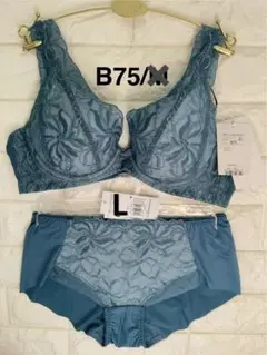 Item thumbnail for item 3b54f461-a72a-457c-abd1-26b01a185d00