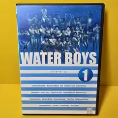 新品ケース交換済み　ウォーターボーイズ DVD4巻セット