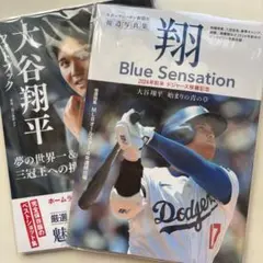大谷翔平2冊セット 写真集「翔」～Blue Sensation～ フォトブック