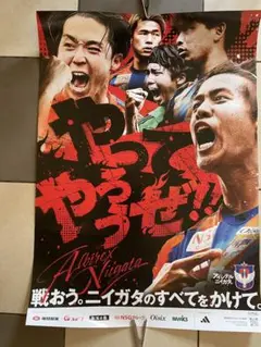 アルビレックス新潟　2025ポスター