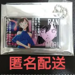 【即購入可能】名探偵コナン展　アクリルブロック　毛利蘭　1点