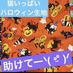 【1種類】ハロウィン生地　猫いっぱい　スケア55×縦50cm