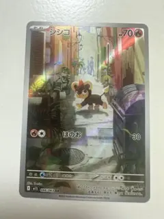 シシコ　AR