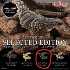 Item thumbnail for item d43219dc-f0b2-4061-b078-13843778f8e4