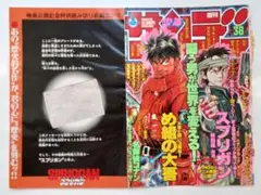 スプリガン　皆川亮二　GOLD RUSH前編　週刊少年サンデー　雑誌切り抜き