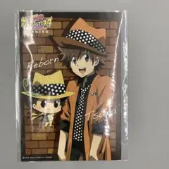 ◯家庭教師ヒットマンREBORN！ボンゴレフェスタ2012 沢田綱吉ポストカード