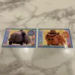 PUI PUIモルカー　カード2枚