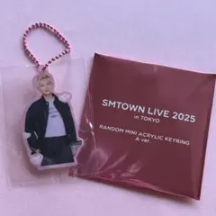 SMTOWN 2025 アクキー SMT EXO チャニョル