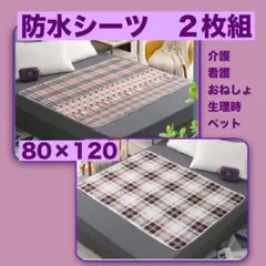 Item thumbnail for item 1d63b010-3cc9-4d11-8a92-1941ea17cb2b